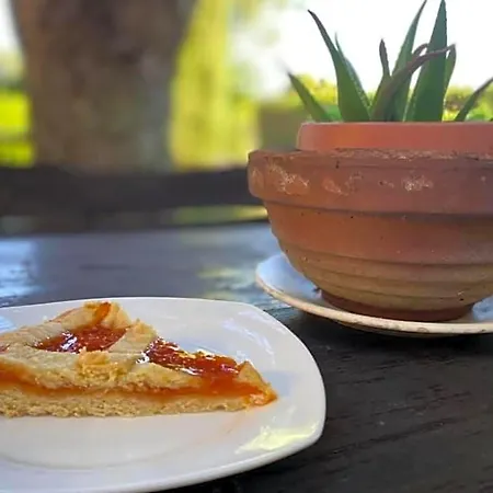 Bed & Breakfast Il Melarancio Pescia Romana